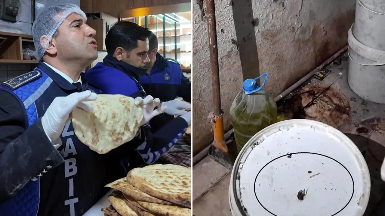 Fırını gören zabıta müdürü şaşkına döndü: Fareyi geçtim, yılan çıkacak diye korkuyorum