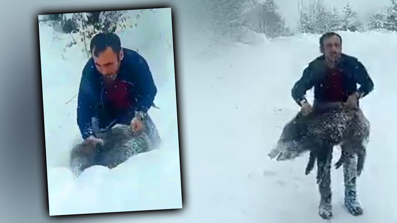  Kar kalınlığının 1 metreyi aştığı kentte şoke eden olay! Domuzu elleriyle yakaladı 