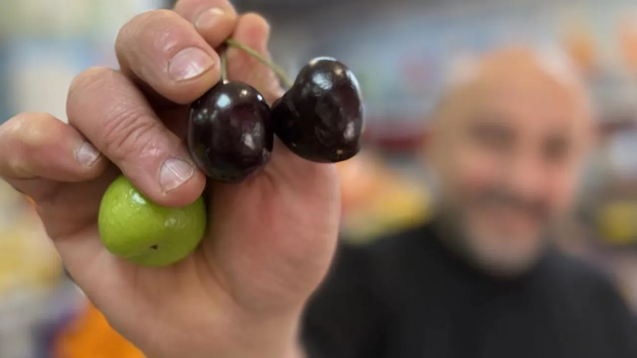 Singapur'dan Düzce'ye sadece 'onlar' için getiriyor! Tanesi 250 lira...