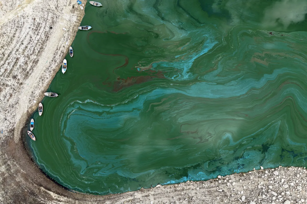 72 yıllık barajda alarm! Ege’nin yeşil can damarı siyaha büründü 