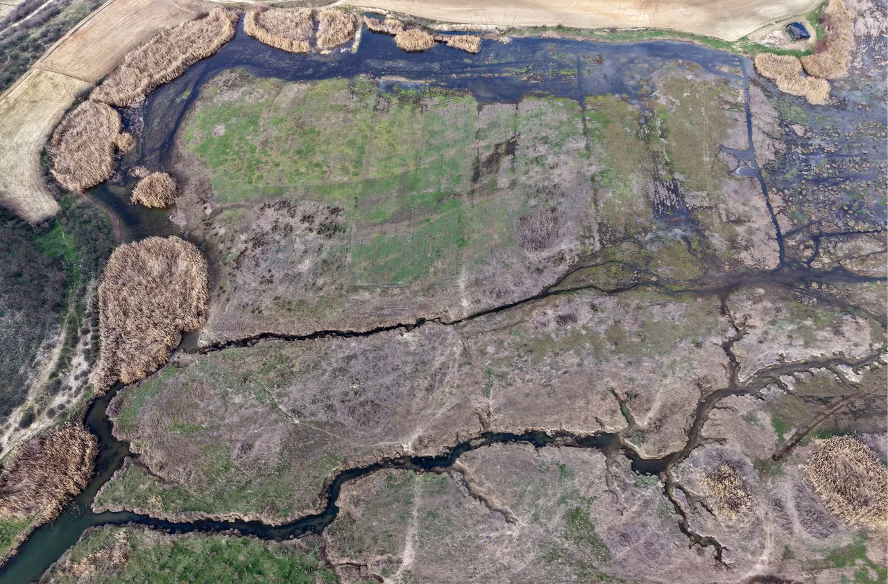 72 yıllık barajda alarm! Ege’nin yeşil can damarı siyaha büründü 