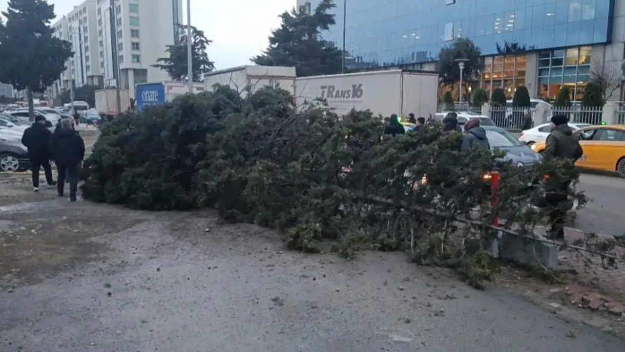İstanbul'da fırtına ağaç devirdi, bir kişi altında kaldı