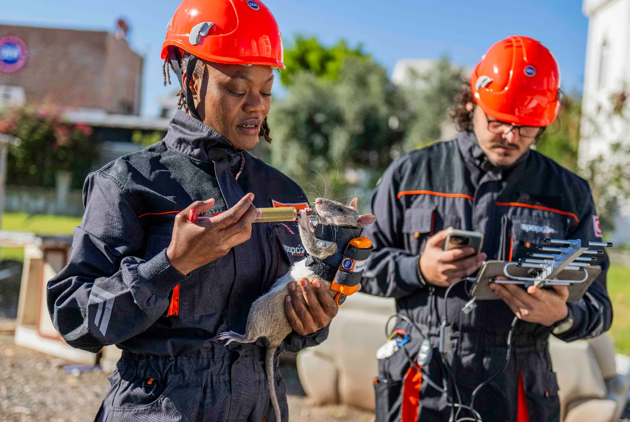  Türkiye'de bir ilk! Arama kurtarmada yeni dönem: İşte enkazın ‘gizli’ gözü