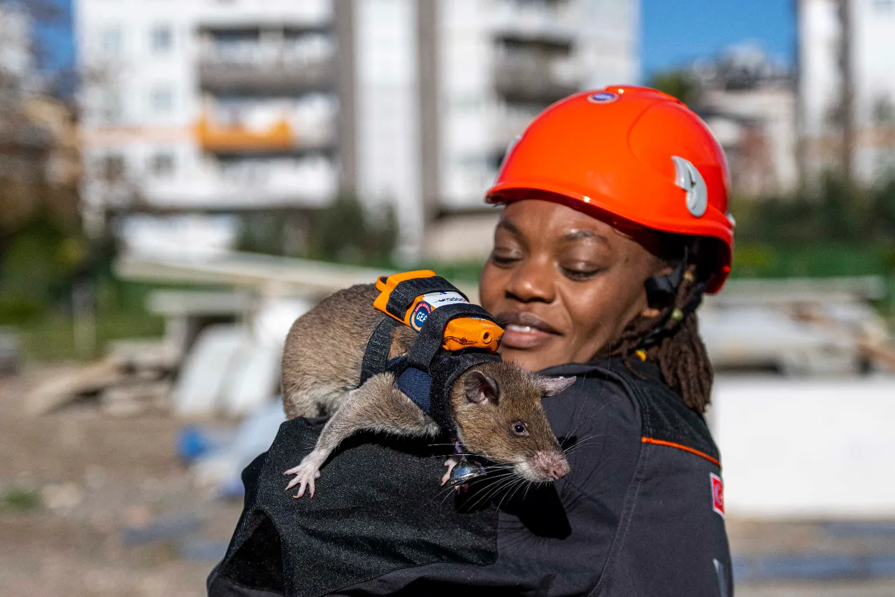  Türkiye'de bir ilk! Arama kurtarmada yeni dönem: İşte enkazın ‘gizli’ gözü