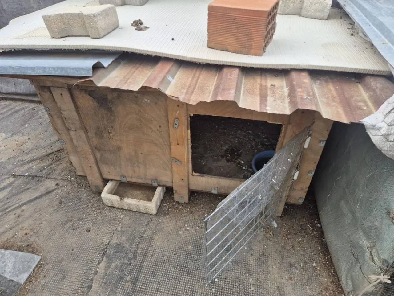 Adanada bir garip olay! Asansördeki mide bulandıran görüntünün sebebi ortaya çıktı