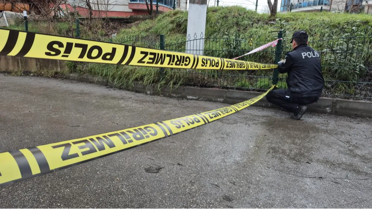 Bartında ırmak taştı! Yol kapatıldı, piknik alanı su altında