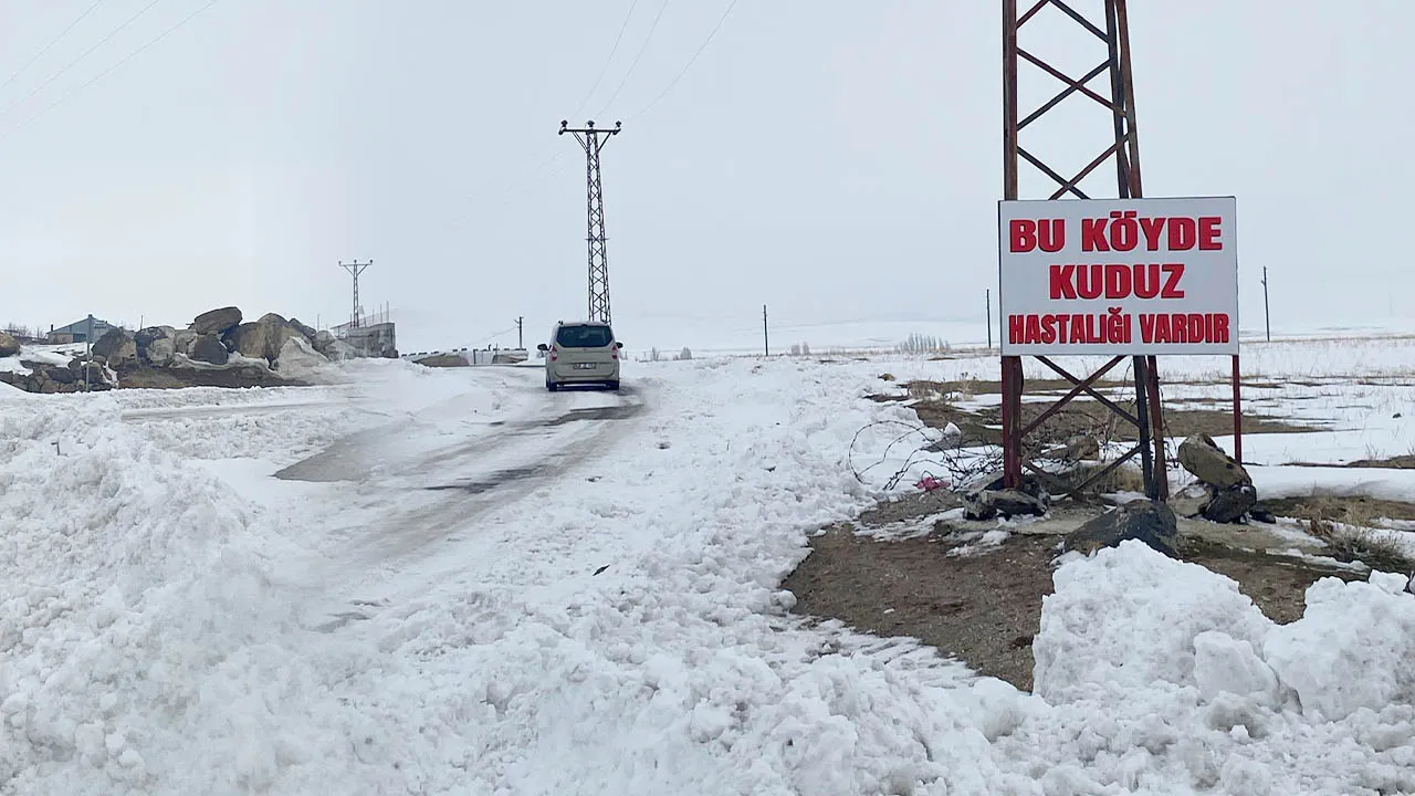 Bitlis'te kuduz alarmı! Köy karantinaya alındı