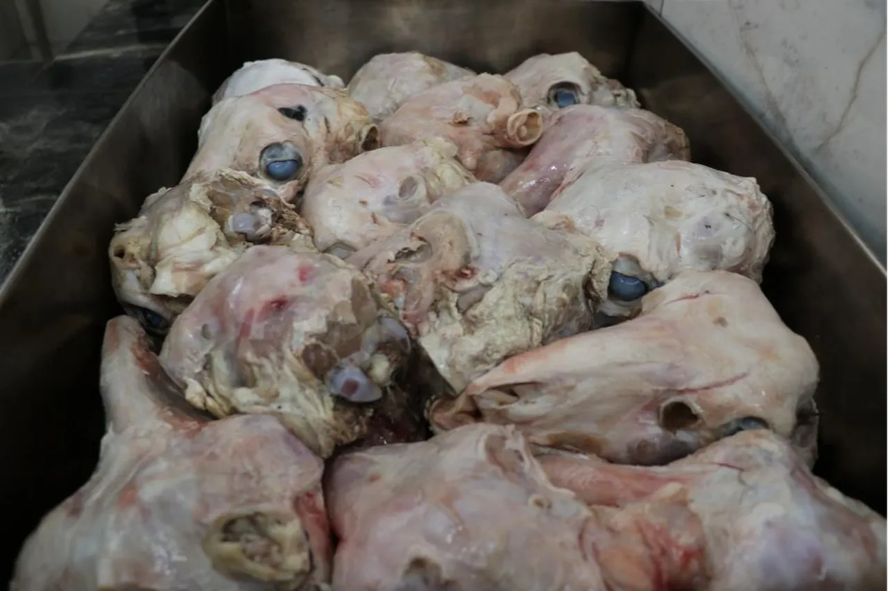 Sabah yiyen akşama kadar tok kalıyor! Pişirmesi bile 16 saat... Binbir zahmetli kelleye ilgi çok büyük