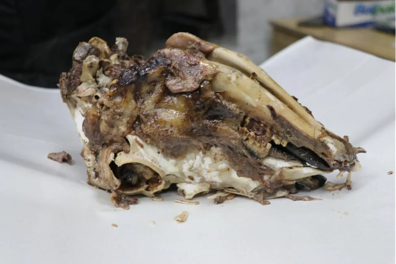 Sabah yiyen akşama kadar tok kalıyor! Pişirmesi bile 16 saat... Binbir zahmetli kelleye ilgi çok büyük