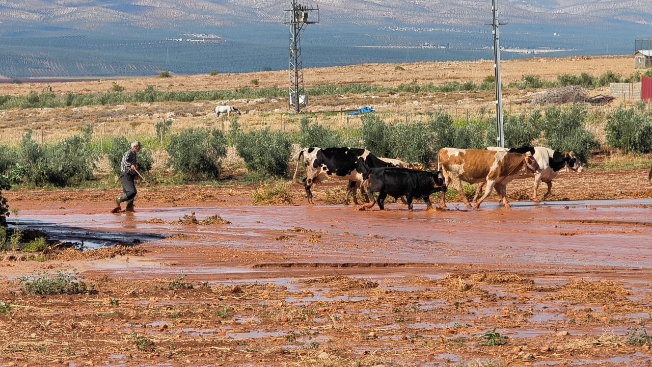 Meteoroloji sarı kodla uyarmıştı! Hatay’ı sel vurdu, tarım arazileri sular altında