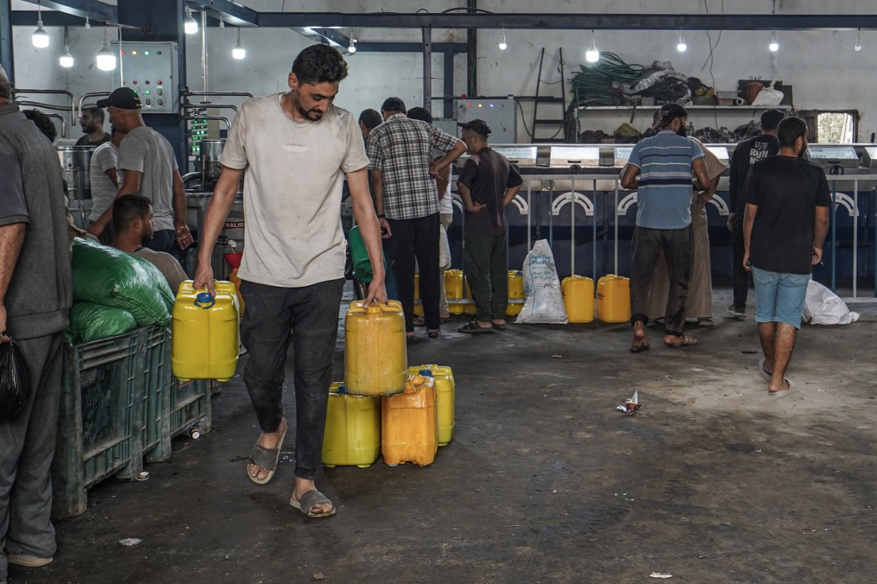 Dünyanın en kaliteli zeytinyağı... Gazze'de yüz güldüren hasat başladı