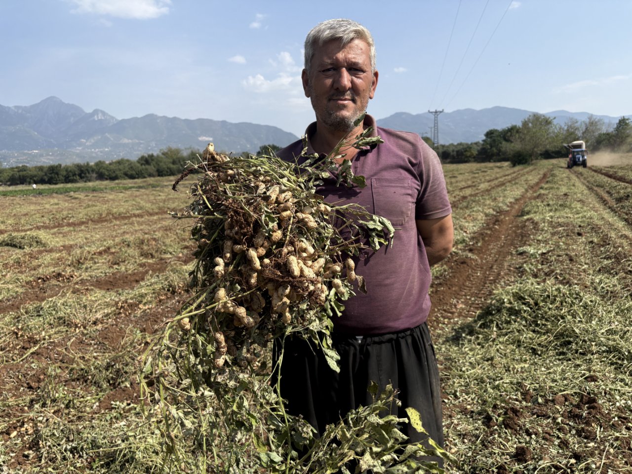Dönüm başına yarım ton verim! Çiftçinin yüzünü güldüren hasat