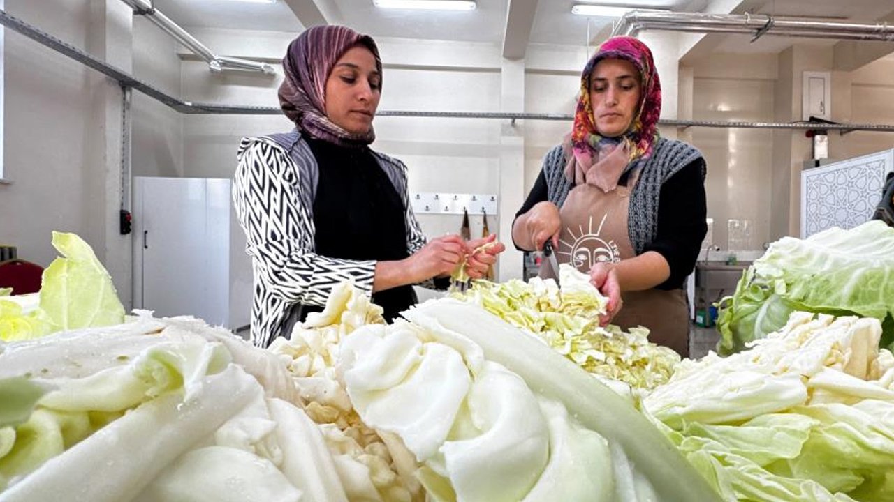 Ata tohumundan doğal antibiyotik üretiyorlar! Hastalanınca bir bardak içmek yetiyor