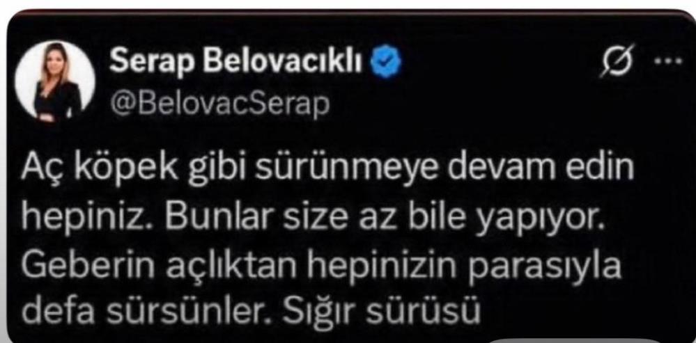 Serap Belovacıklı hakkında soruşturma! "Aç köpekler gibi sürünün" demişti