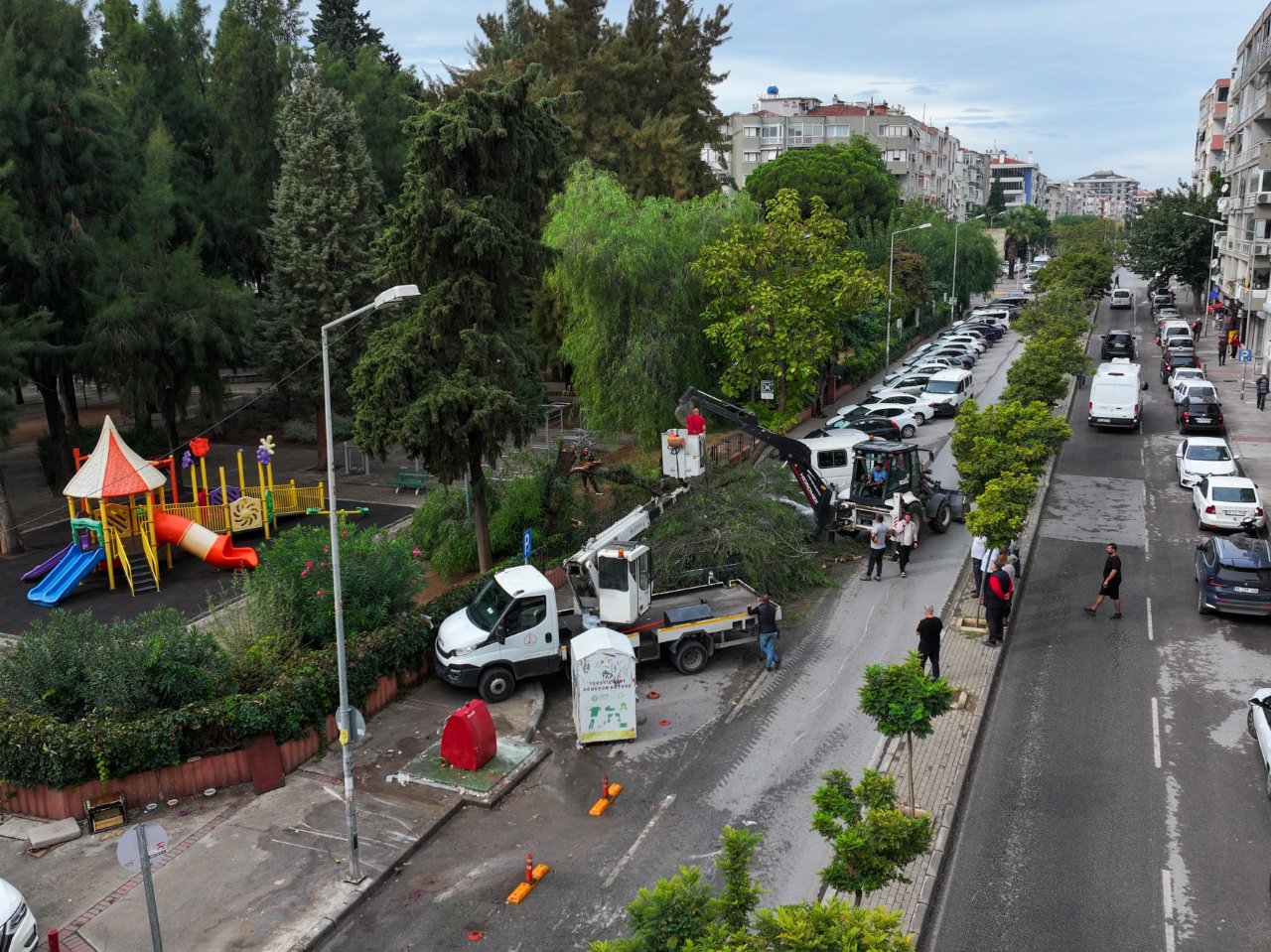 Kuvvetli rüzgar ağacı devirdi! 4 otomobil hasar gördü