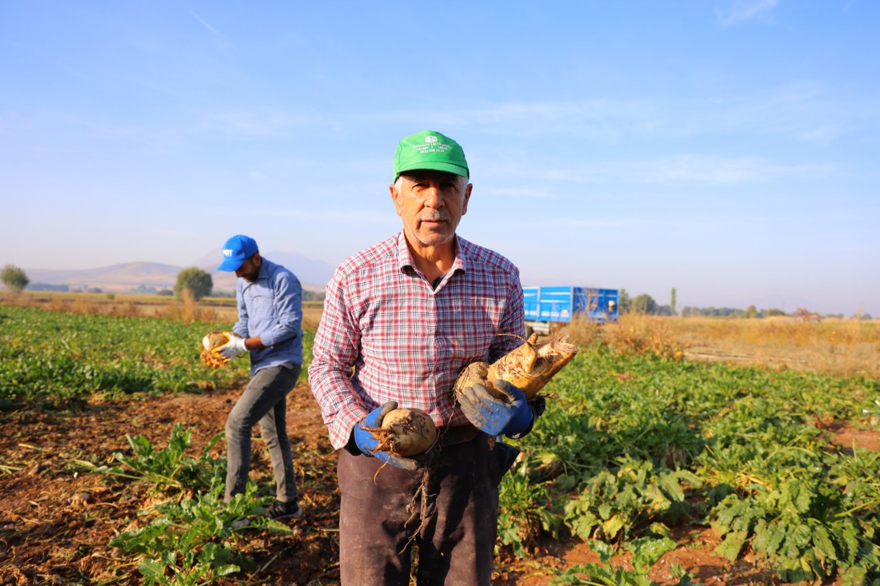 1 dönümden 10 ton verim! Bu yıl 500 bin ton ürün bekleniyor