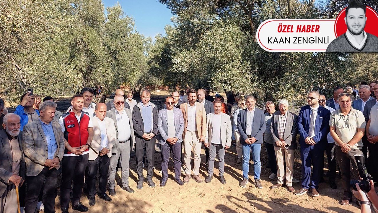 Litre başına 50 TL prim talebi var: Zeytinyağı üreticisi devlet desteği bekliyor