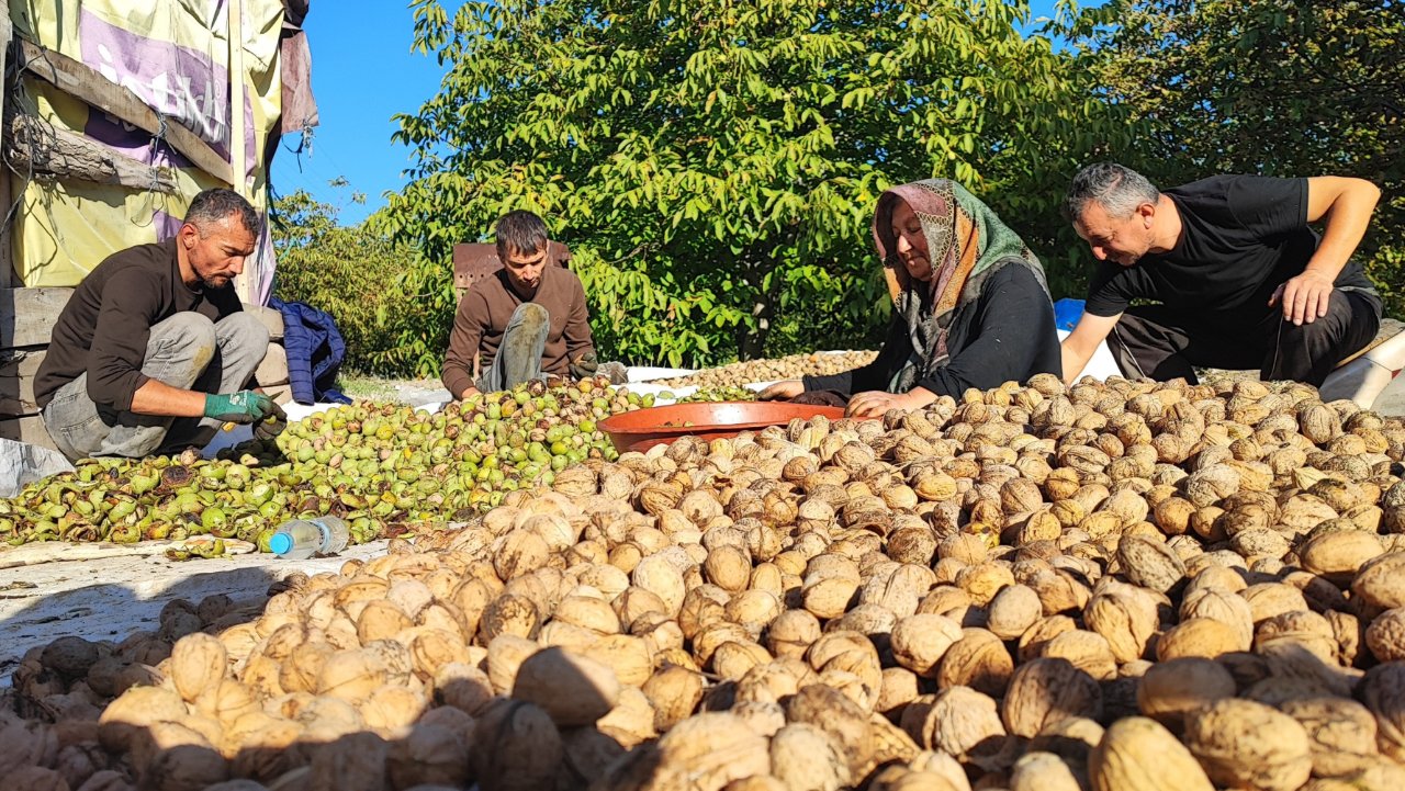 Çiftçi fiyatlardan şikayetçi! Tarlada 100, markette 500 lira