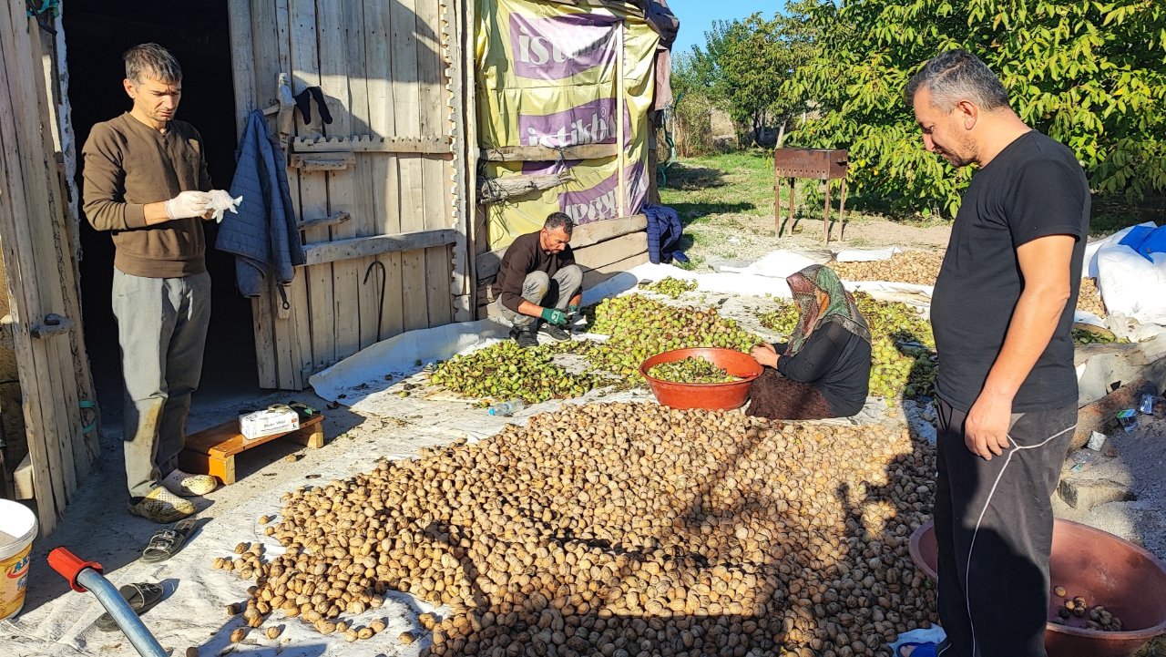 Çiftçi fiyatlardan şikayetçi! Tarlada 100, markette 500 lira