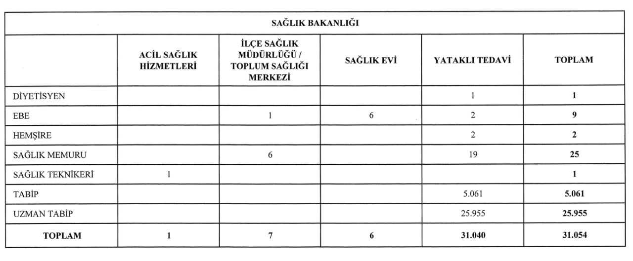 Ebe, hemşire, doktor, memur... 31 bin 54 sağlık personeli alınacak! İşte kadrolar