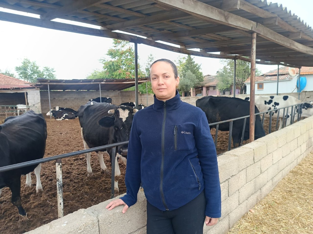 Beş hayvanla başladı onlarcasına ulaştı! Kadın çiftçi azmiyle sürüsünü büyüttü