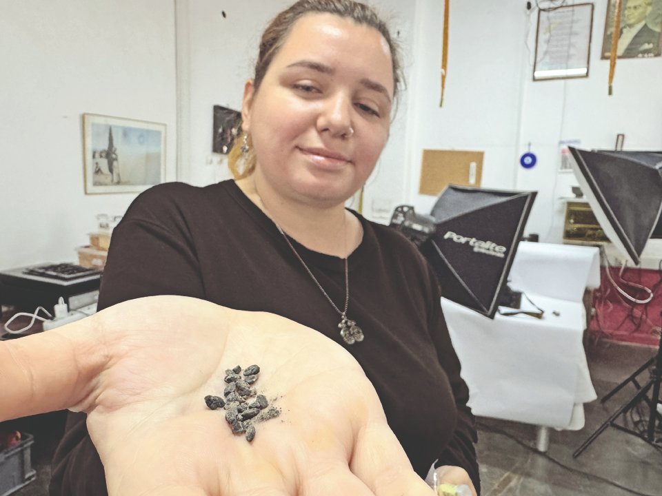 2 bin 600 yıllık tohumlar çıktı