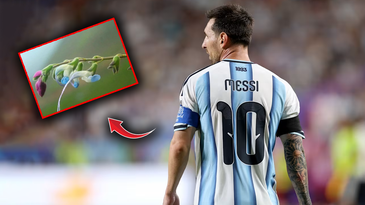 Messi'nin adı And Dağları'nda! Yeni keşfe damga vurdu