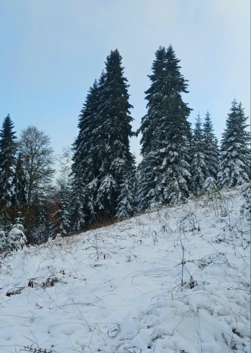 Kar kalınlığı 10 santimetreyi geçti! Her yer beyaz örtüyle kaplandı