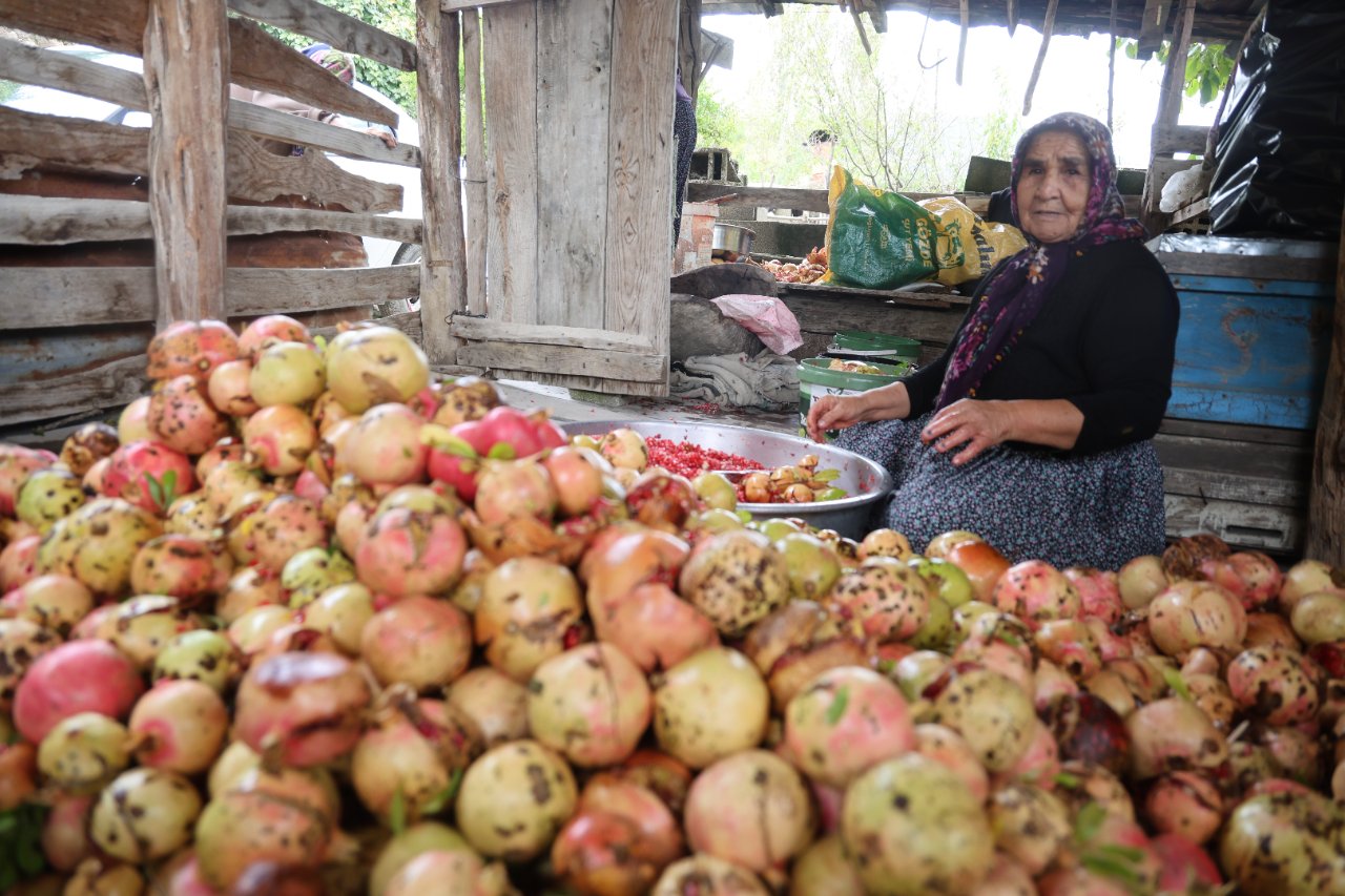 Kilosu 750 TL! Elleriyle tek tek ayıklıyorlar, 1,5 tondan 60 kilo çıkıyor, 5 saat kaynıyor
