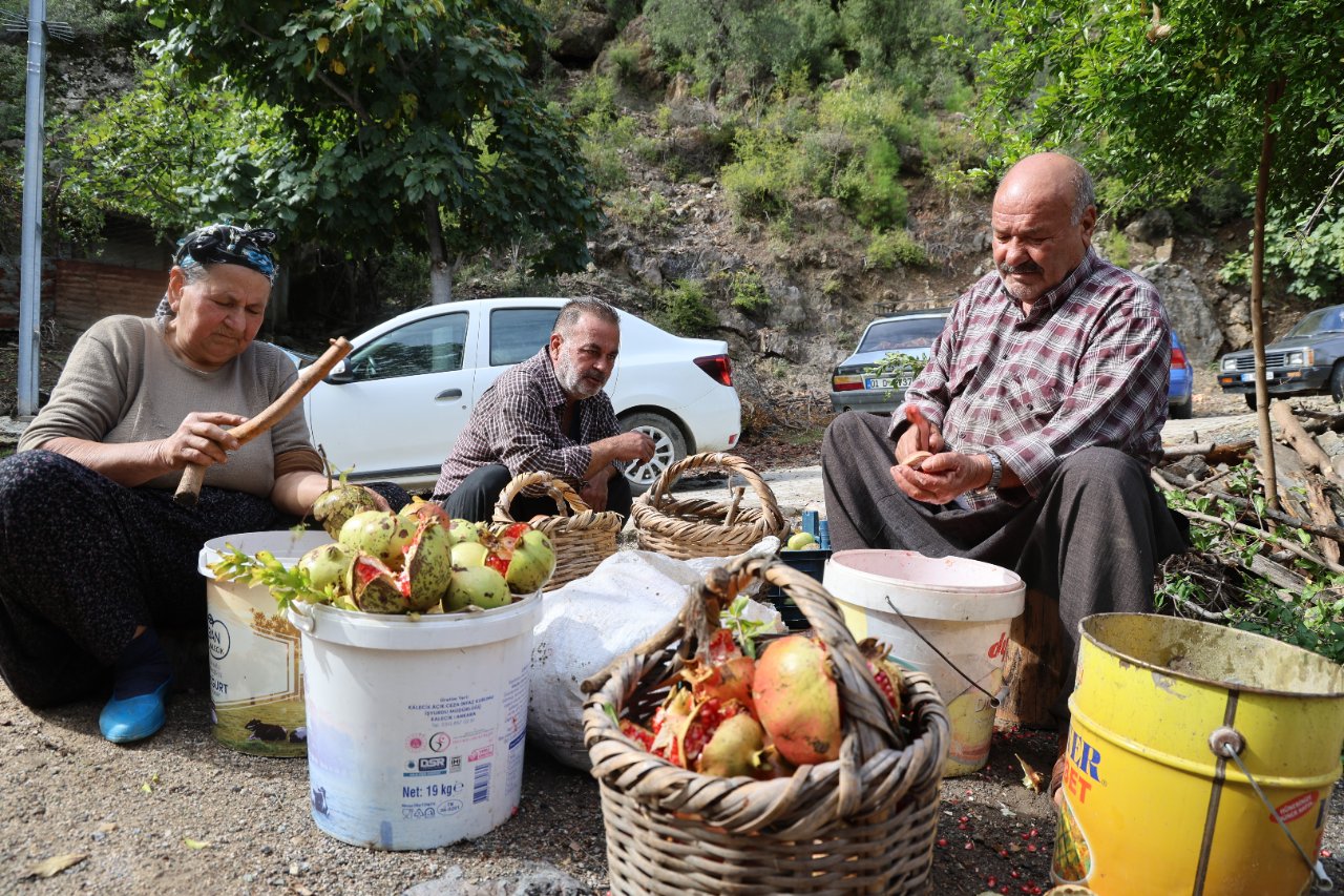 Kilosu 750 TL! Elleriyle tek tek ayıklıyorlar, 1,5 tondan 60 kilo çıkıyor, 5 saat kaynıyor