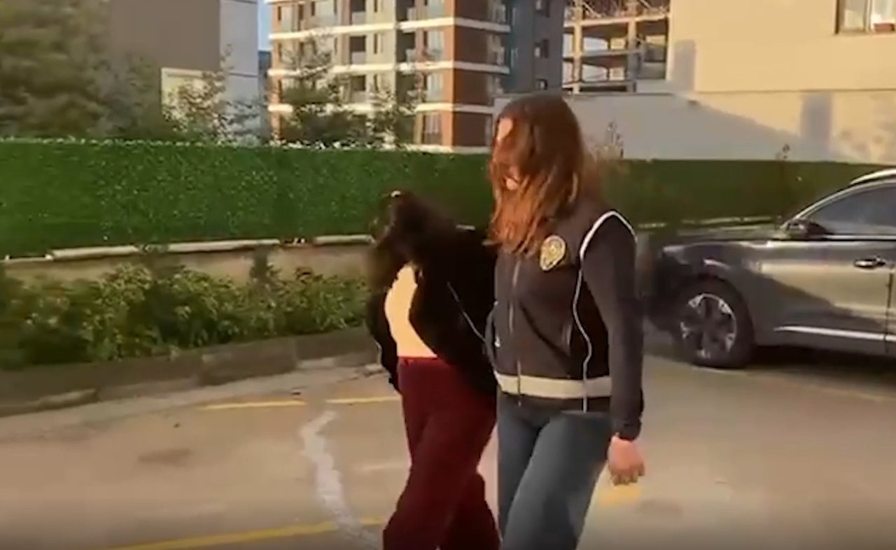 Yasa dışı 'üreme' ticaretini, çete liderinin eşi ihbar etmiş! 'Sarı saç-mavi göz' siparişine şoke eden cevap