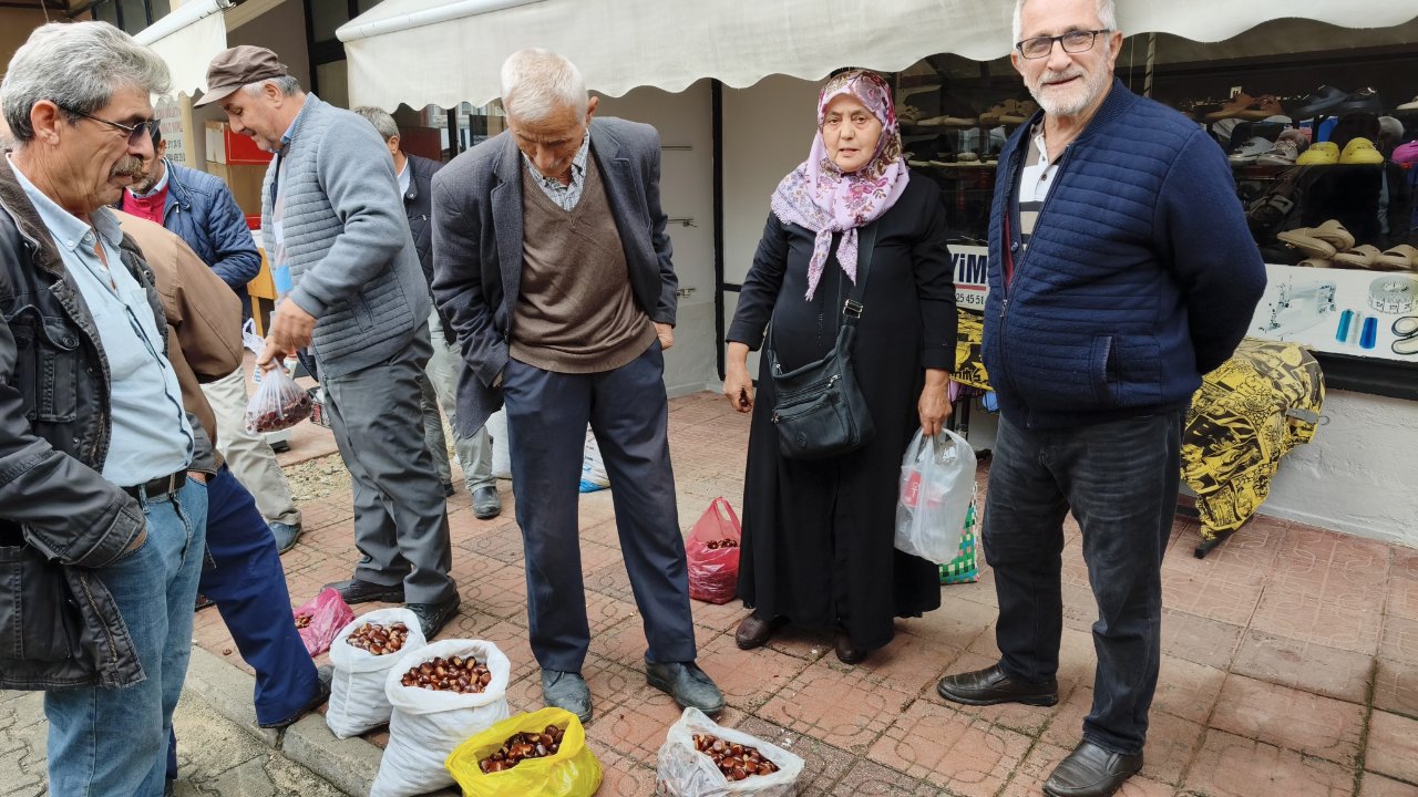 Dünyaca ünlü Erfelek kestanesi tezgahlarda! Kilosu 800 liraya kadar çıkıyor