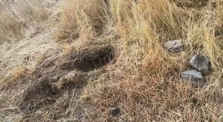 Kars’ta yeni doğan bebeğin ölümünde anne ile anneanne birbirini suçladı