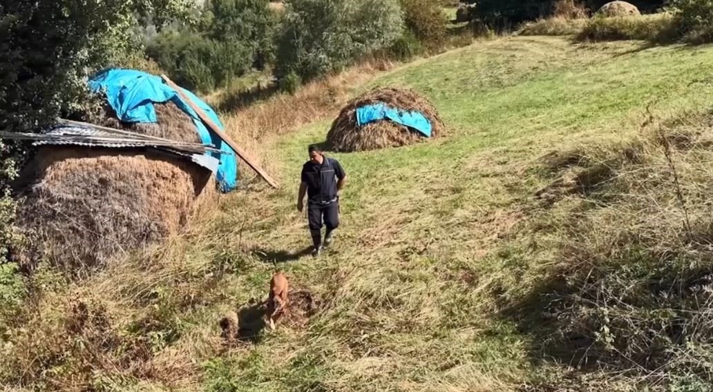 Katil eşi 20 yıl mağara saklanmış, JASAT sırrı çözmüştü! Nigar Bilgin cinayetinde korkunç itiraf: Abim sopayla döverek öldürdü