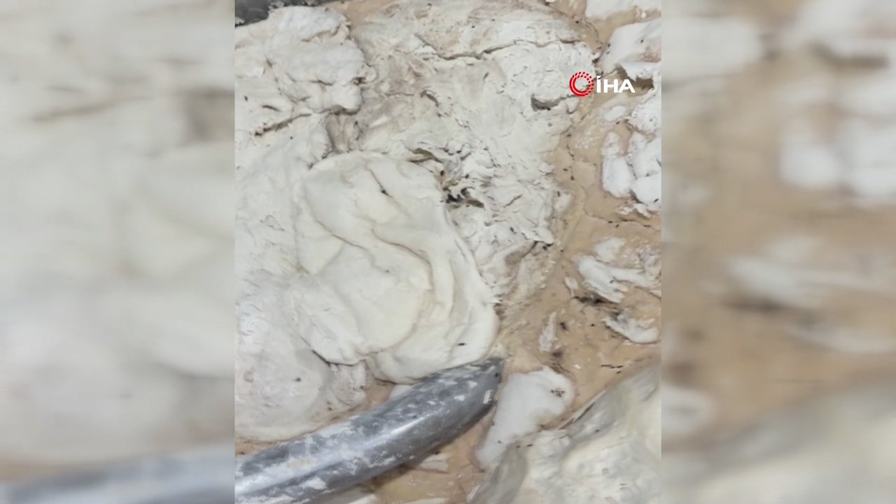 Ekmek fırınından mide bulandıran görüntüler! Hamam böcekleri ve sigara izmaritleri...