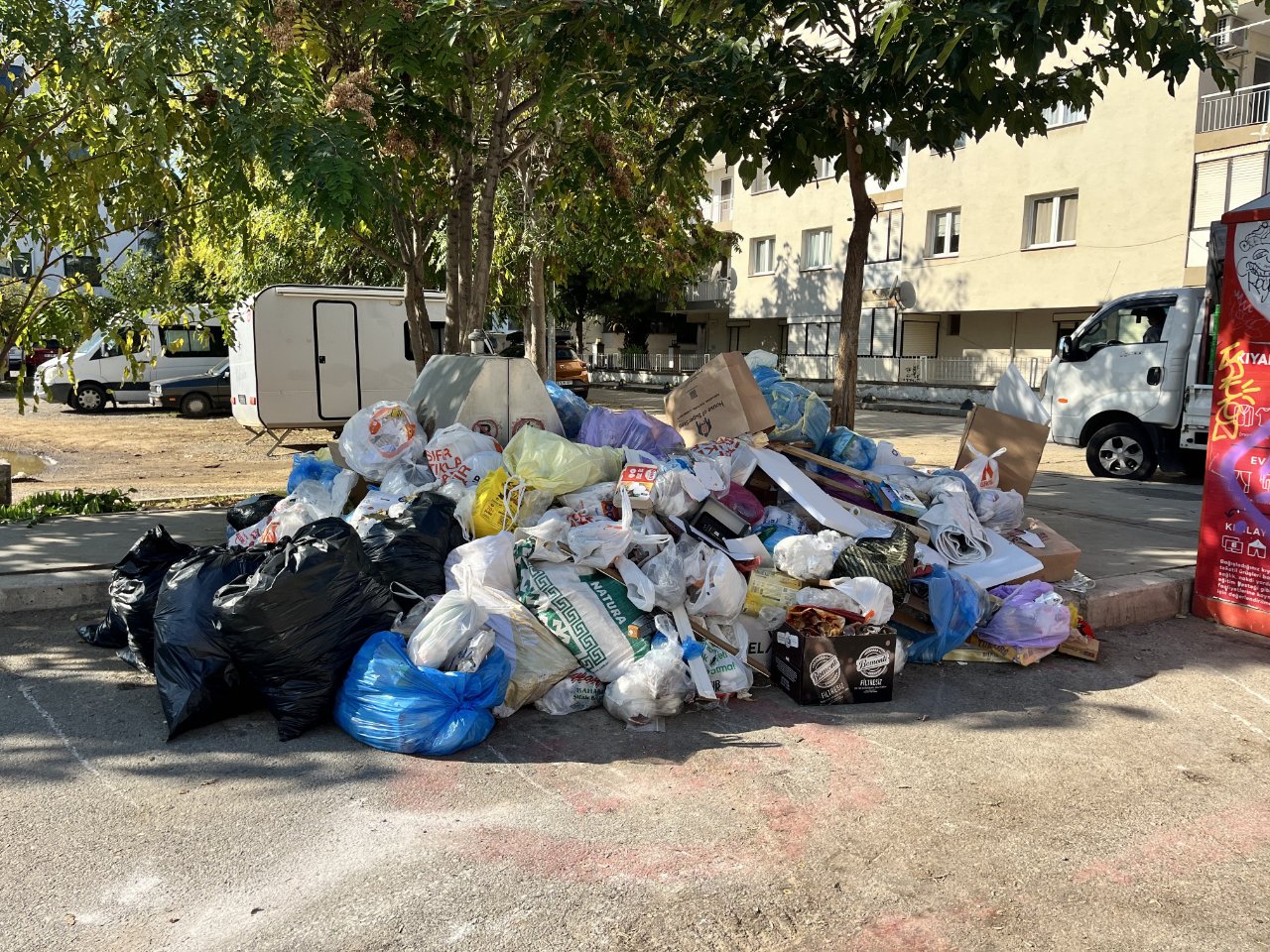 Sokaklarda fareler dolaşıyor! Çöp dağları toplanmadı, vatandaş isyan etti