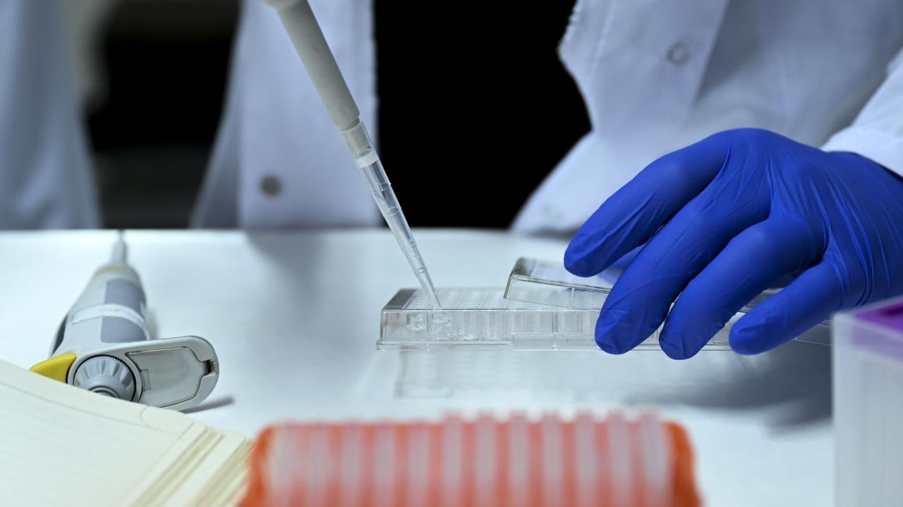 Donör soruşturmasında bir skandal daha! Danimarkalı sandıkları çocuk Türk çıktı: Sarışın olmaması ele verdi