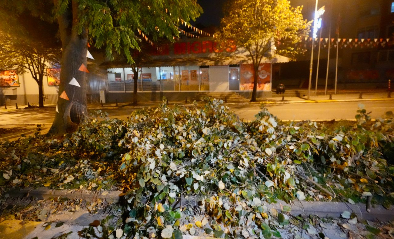 Eyüpsultanda tramvay çalışmasına ağaç tepkisi! 5 ağaç kesildi iddiası