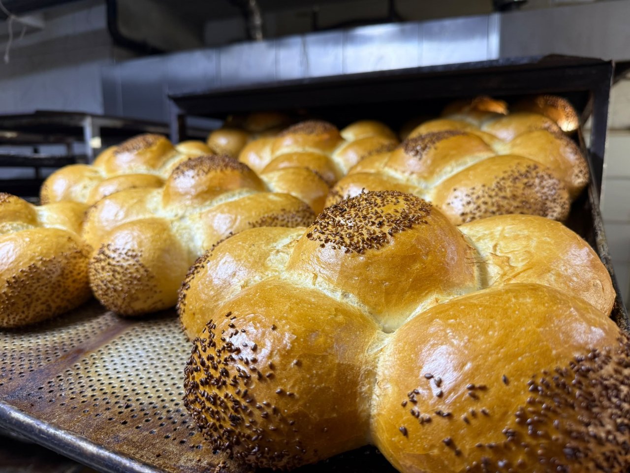 Ekmek 10 TL'ye düştü! Fırıncıların rekabeti vatandaşa yaradı