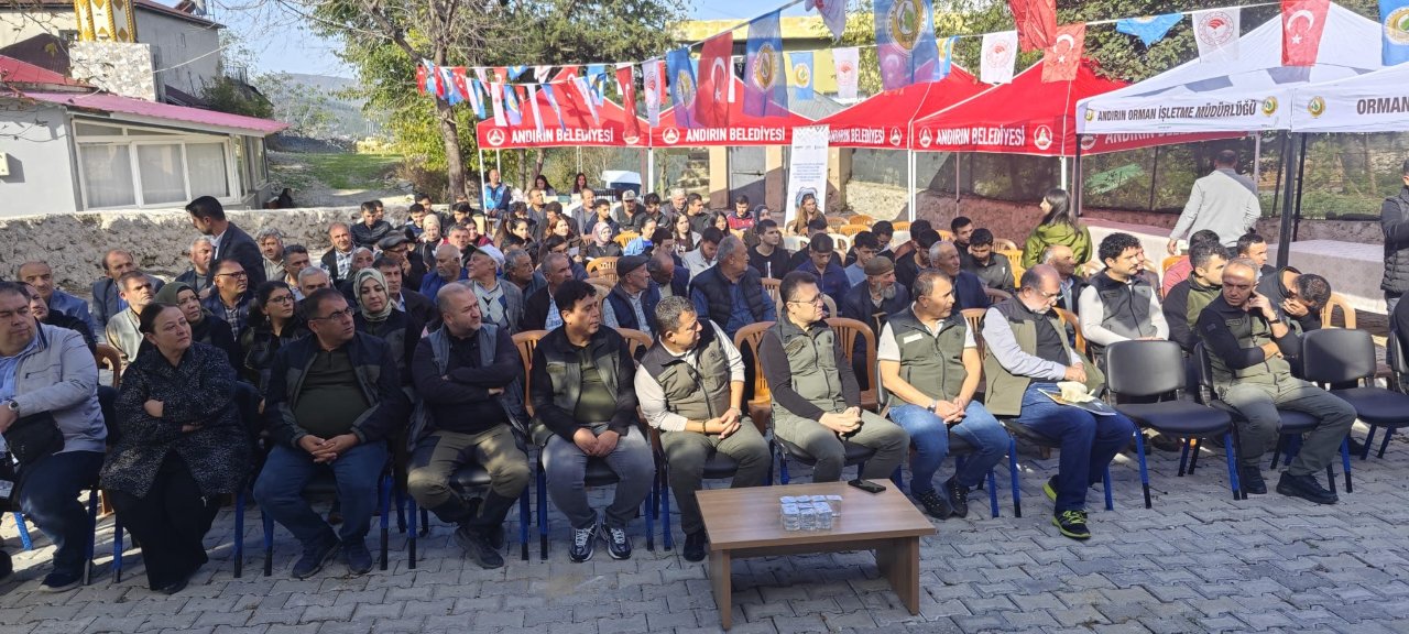 Kilosu 3 liraya toplanıyor, işlenince 10 bin lira oluyor! ‘Yeşil altın’ bölgeyi şaha kaldıracak