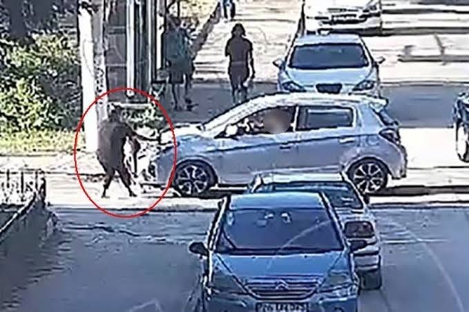 “Kusurum yok” demişti… Elif Mavi’yi hayattan koparan kazada sürücü için istenen ceza belli oldu
