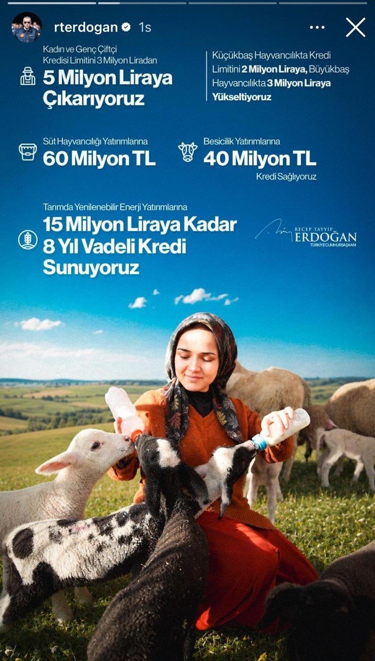 Erdoğan fotoğrafını paylaşmıştı! 100 bin liralık hibe, 25 yaşındaki Sueda'nın hayatını değiştirdi