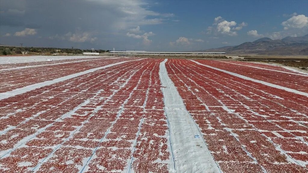 Soğanı, patatesi bıraktılar buna yöneldiler: Kazancı gören Kayseri'ye akın ediyor!