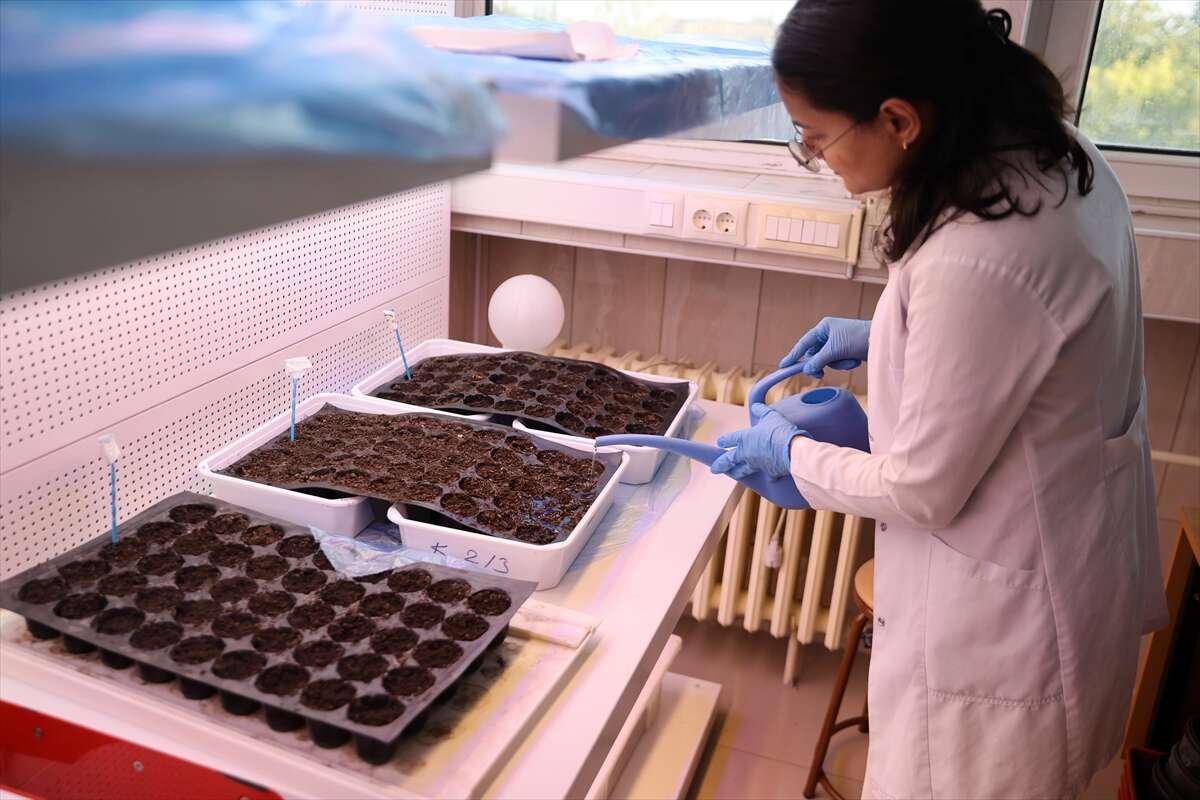 Konyada 10 yıllık çalışma bitti, çiftçiye müjde geldi: Masraflar yüzde 25 düşüyor!