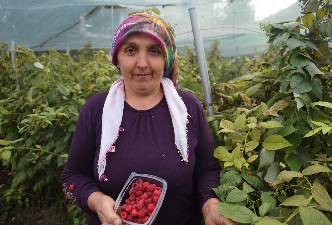 İlçede ilk kez o ekti, kilosunu 500 liraya satıyor! Görenler 'Dağdan mı buldun?' diye şaşırıyor