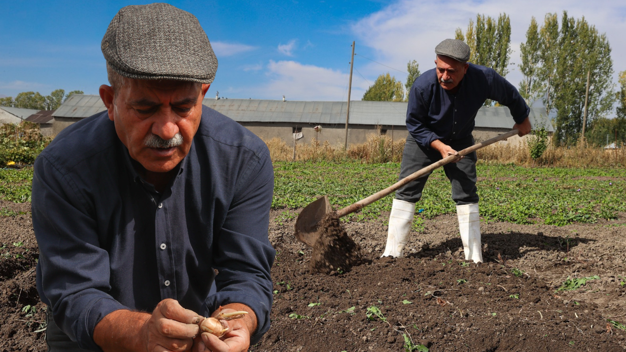 Tavsiye üzerine ekti, hayatı değişti! Kilosunu 950 bin TL’den satıyor