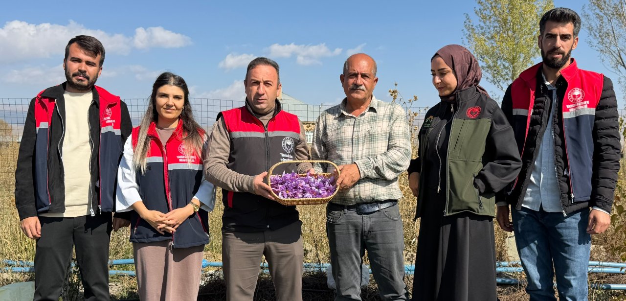 Esnaflığı bıraktı, hasat için gün doğmadan yola koyuluyor! Kilosu 1 milyon lira
