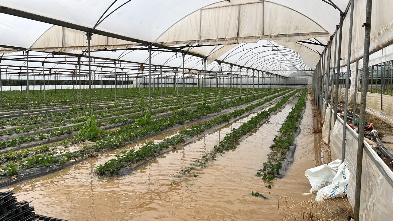 Meteorolojiden 8 il için peş peşe uyarı! Sel ve sağanak kapıda