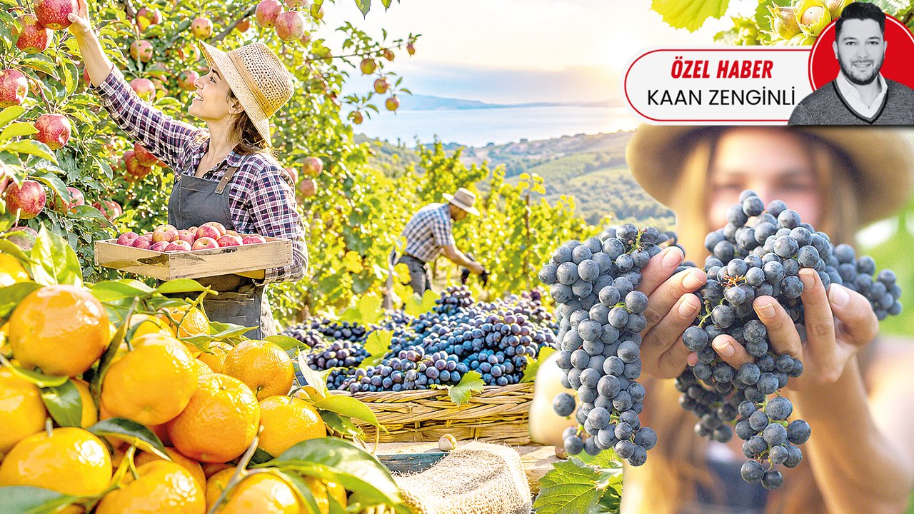 TARIMDA KISIR DÖNGÜ