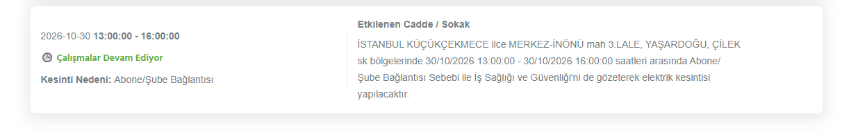 BEDAŞ İstanbul elektrik kesintisi 30 Ekim! 12 ilçede 8 saat sürecek
